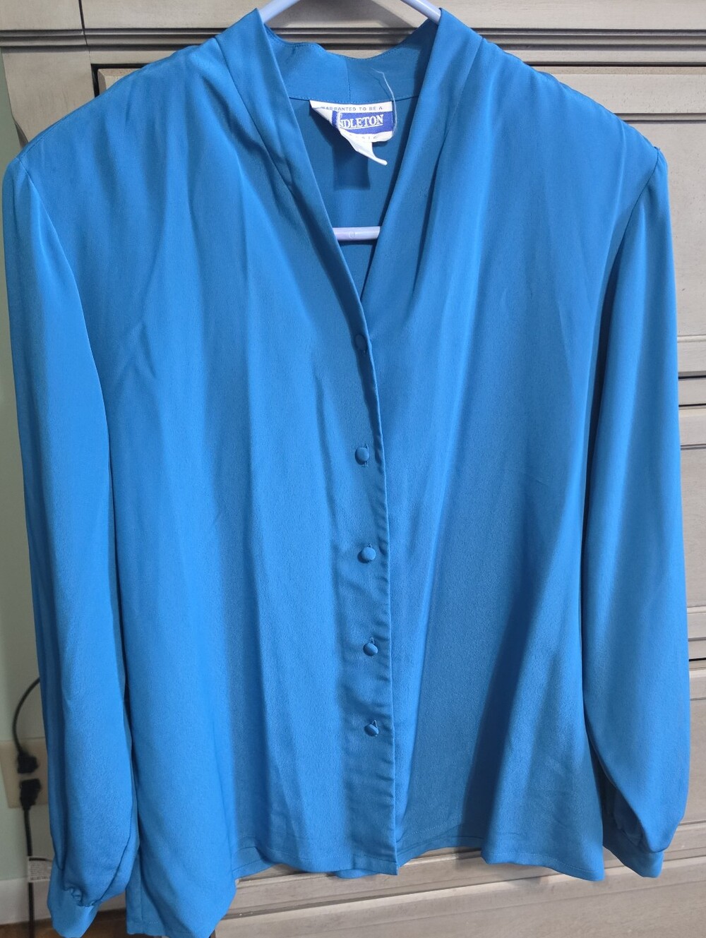Pendleton Teal Long-Sleeve Button-Front Blouse